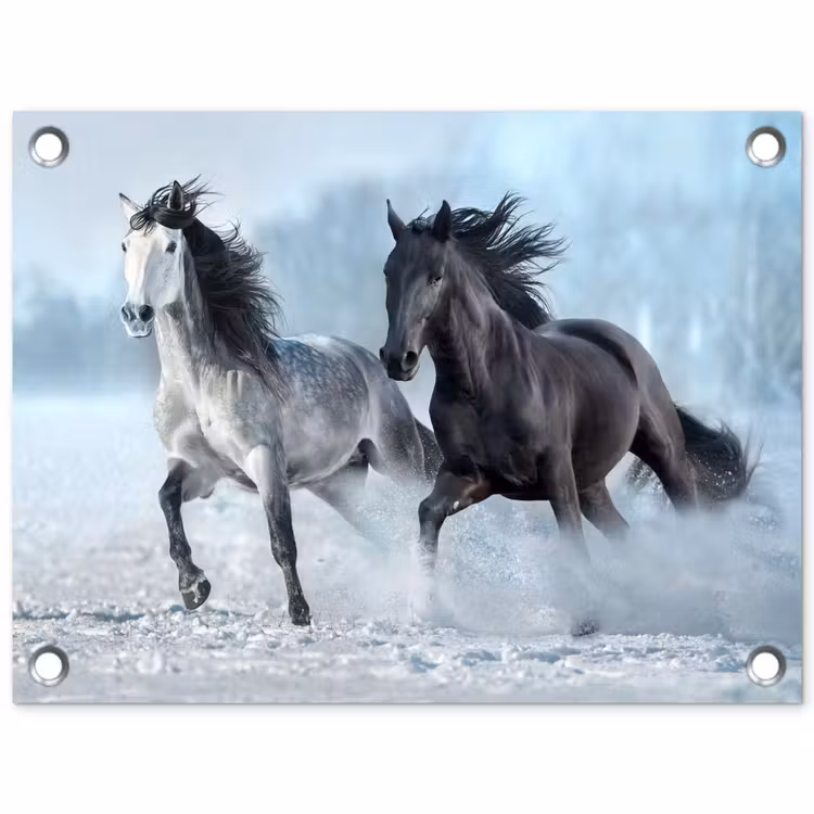 Paarden - Winter - Dieren - Natuur - Sneeuw tuinposter los doek klein -3d