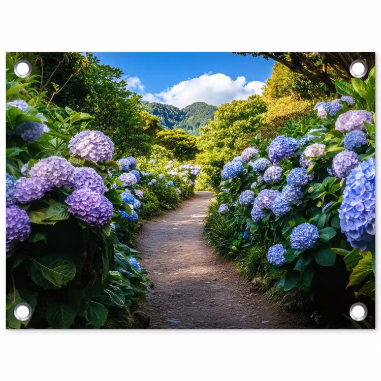 Hortsensia - Pad - Bloemen tuinposter los doek klein -3d