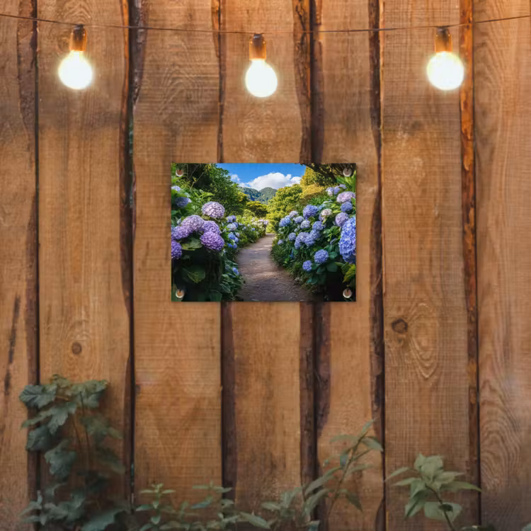 Hortsensia - Pad - Bloemen tuinposter los doek klein -sfeer1
