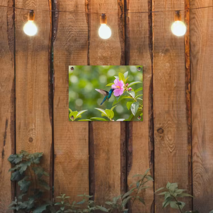Kolibrie - Bloem - Natuur - Groen tuinposter los doek klein -sfeer1