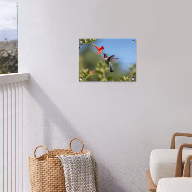 Kolibrie - Bloem - Natuur - Groen tuinposter los doek klein -sfeer8