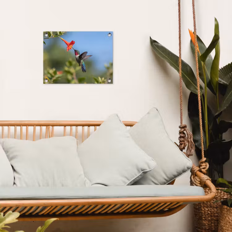 Kolibrie - Bloem - Natuur - Groen tuinposter los doek klein -sfeer7