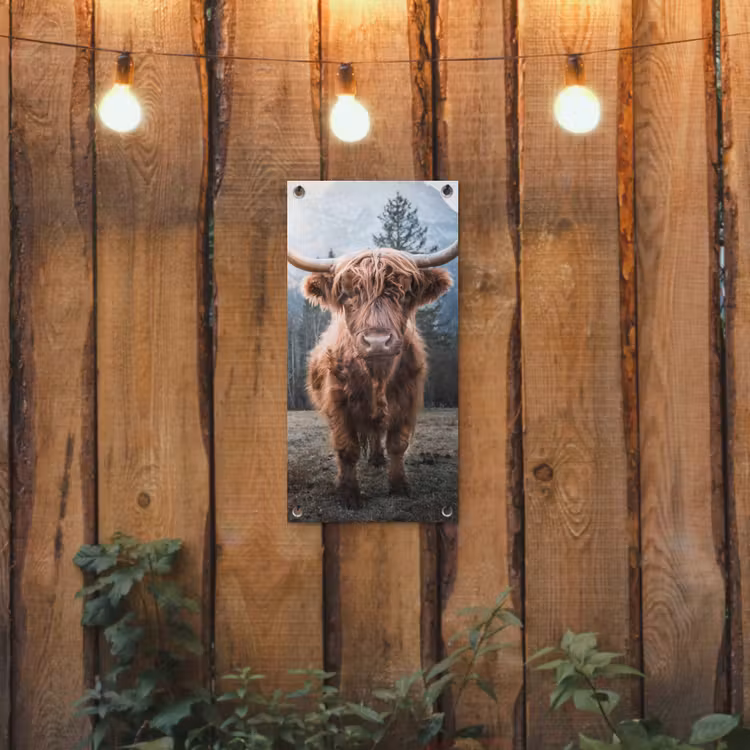 Imposante Hooglander in de Natuur tuinposter los doek klein -sfeer1
