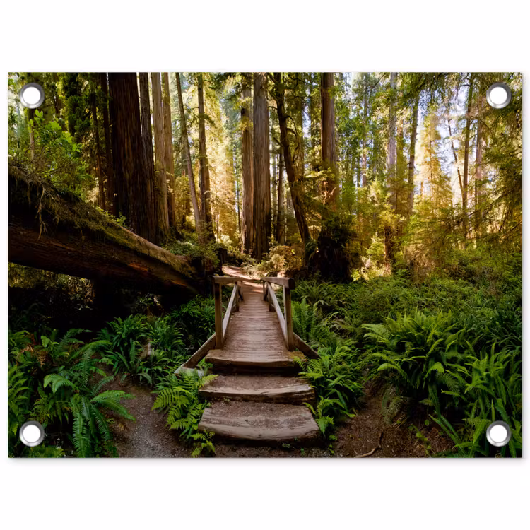 Jungle - Natuur - Trap - Bomen tuinposter los doek klein -3d