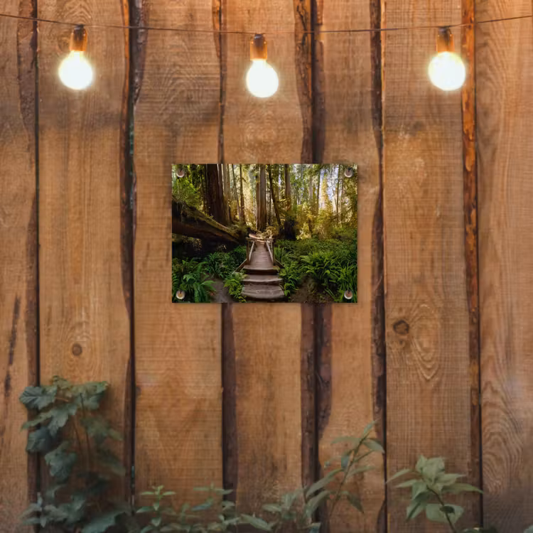 Jungle - Natuur - Trap - Bomen tuinposter los doek klein -sfeer1