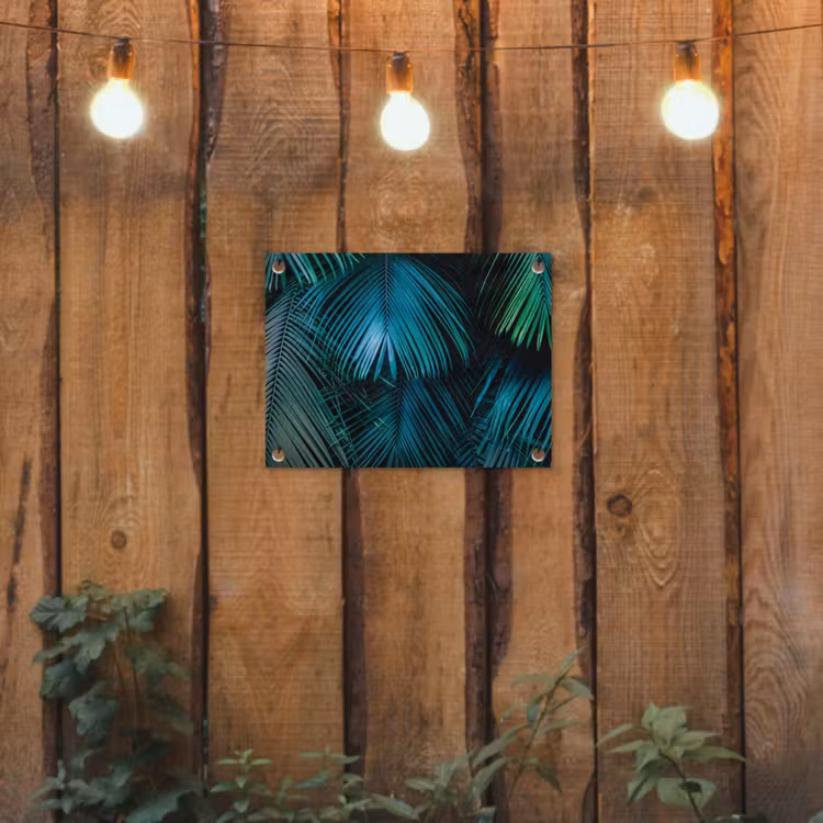 Inductie mat - Jungle - Inductie beschermer - Palmblad - Natuur tuinposter los doek klein -sfeer1