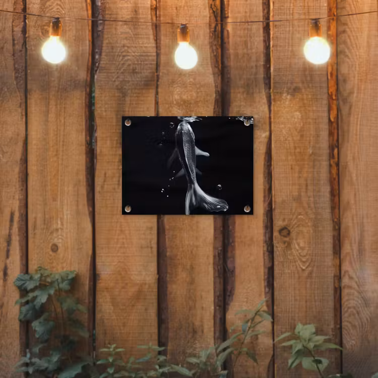 Koi - Vissen - Water - Zwart tuinposter los doek klein -sfeer1
