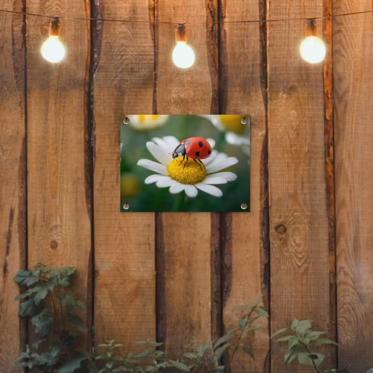 Lieveheersbeestje - Rood - Margriet tuinposter los doek klein -sfeer1
