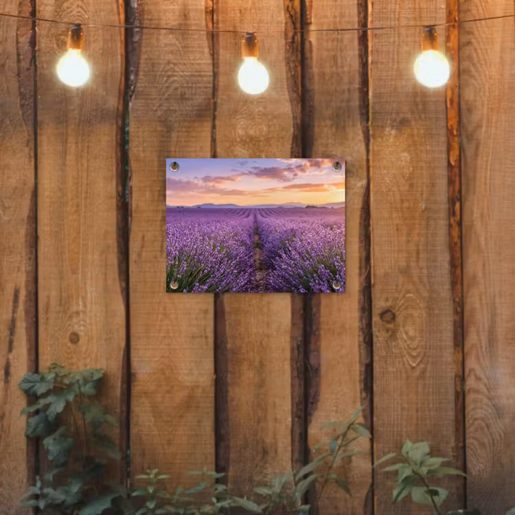 Lavendel - Veld - Natuur - Paars tuinposter los doek klein -sfeer1