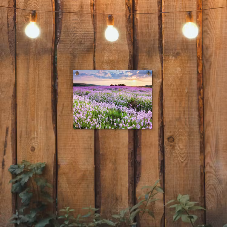 Lavendelvelden bij zonsondergang tuinposter los doek klein -sfeer1