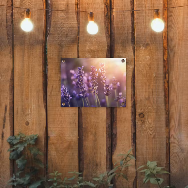Lavendelbloemen - Paars - Zonlicht tuinposter los doek klein -sfeer1