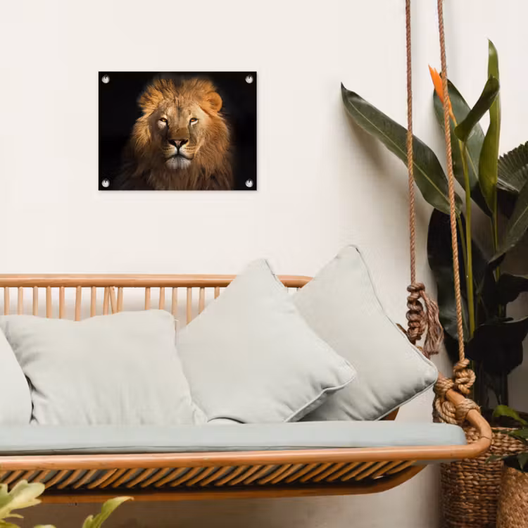 Leeuw - Dieren - Zwart - Licht - Bruin - Portret tuinposter los doek klein -sfeer7