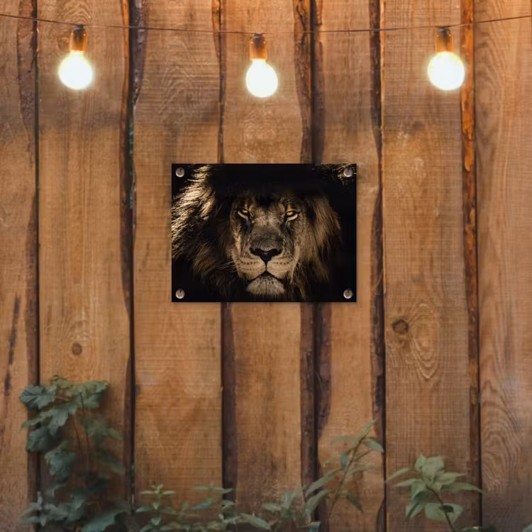 Leeuw - Dieren - Zwart - Portret tuinposter los doek klein -sfeer1