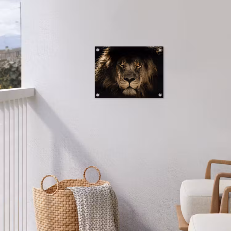 Leeuw - Dieren - Zwart - Portret tuinposter los doek klein -sfeer8