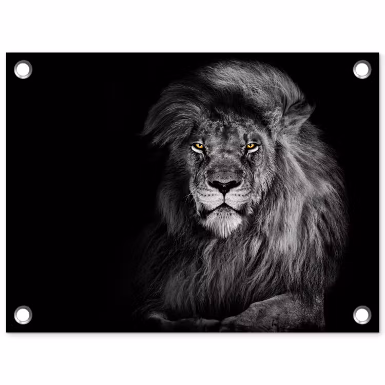 Leeuw - Ogen - Oranje - Zwart wit - Dieren - Portret tuinposter los doek klein -3d
