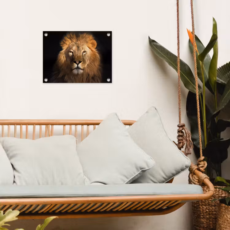 Leeuw in het avondlicht tuinposter los doek klein -sfeer7