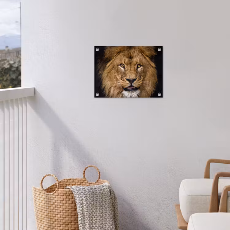 Leeuw - Portret - Zwart - Dieren tuinposter los doek klein -sfeer8