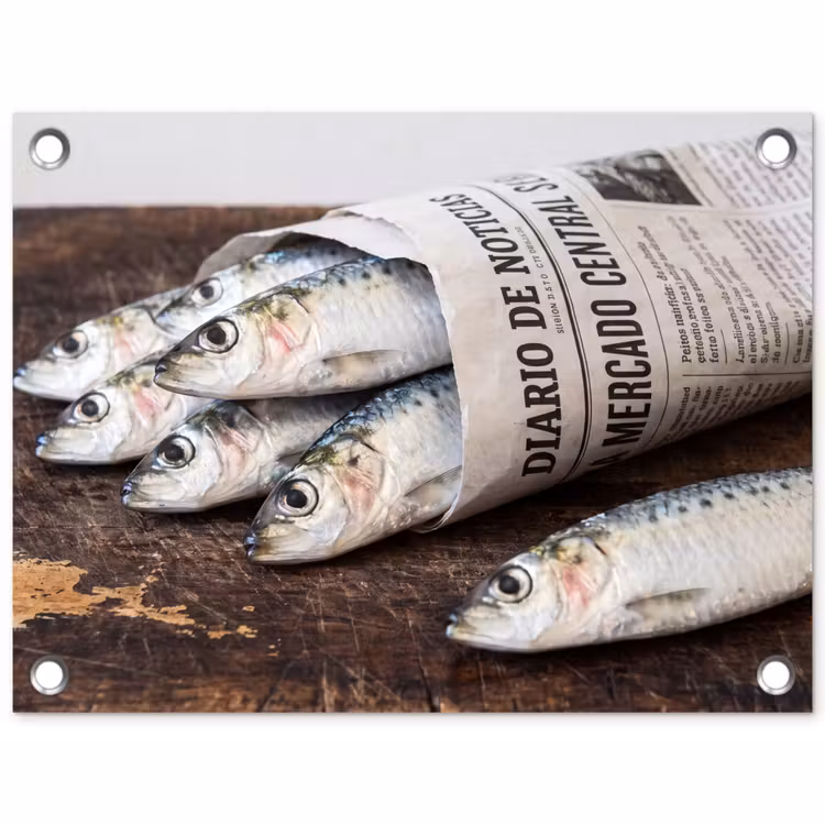 Garden Poster - Little Sardine - newspaper - cutting board - Sardientje - krant - snijplank tuinposter los doek klein