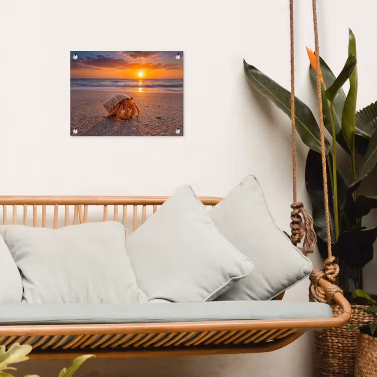 Kreeft - Strand - Natuur - Zonsondergang - Oranje tuinposter los doek klein -sfeer7