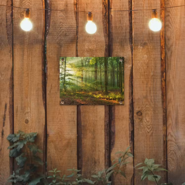 Ochtendlicht in het bos tuinposter los doek klein -sfeer1