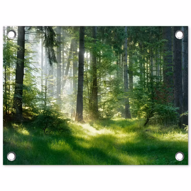 Natuur - Bomen - Bos - Groen - Zon - Gras - Planten tuinposter los doek klein -3d