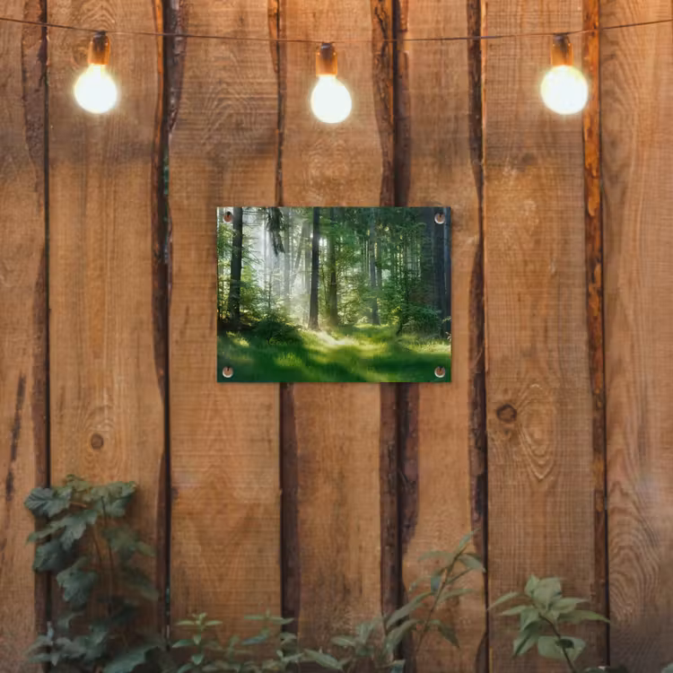 Natuur - Bomen - Bos - Groen - Zon - Gras - Planten tuinposter los doek klein -sfeer1