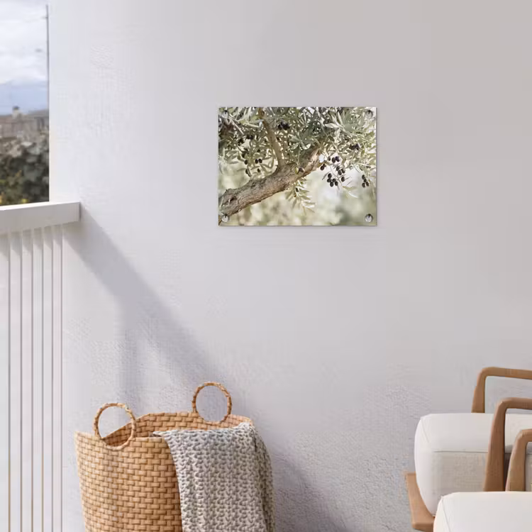 Garden Poster - Olive tree - branch - green - Olijfboom - tak - groen tuinposter los doek klein
