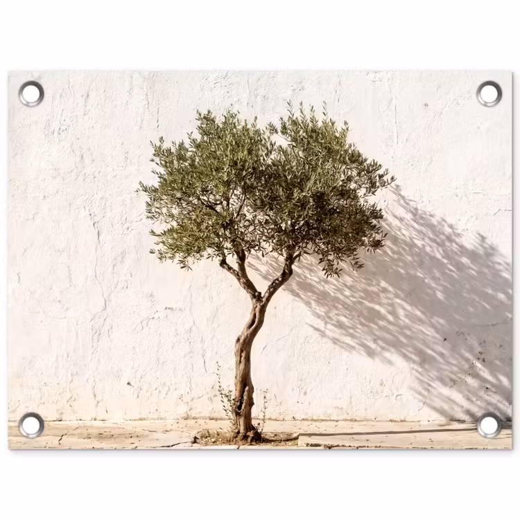 Garden Poster - Olive Tree - Wall - White - Olijfboom - muur - wit tuinposter los doek klein