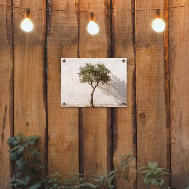 Garden Poster - Olive Tree - Wall - White - Olijfboom - muur - wit tuinposter los doek klein