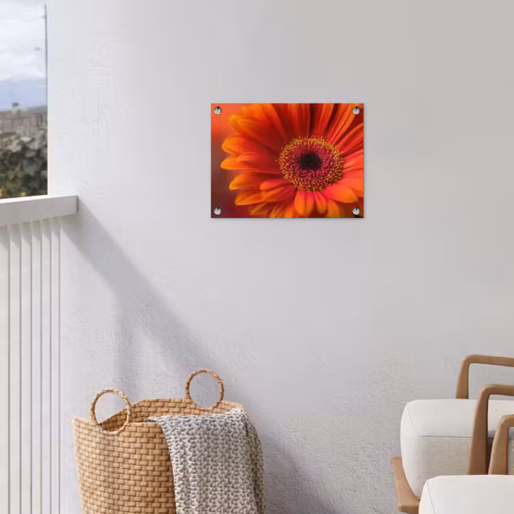 Oranje - Gerbera - Intens tuinposter los doek klein -sfeer8