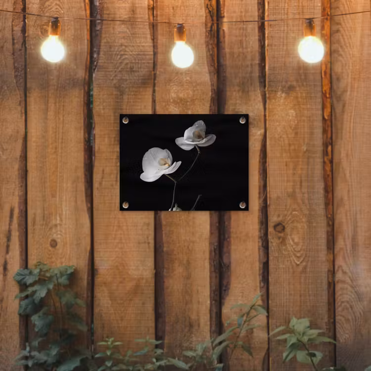Orchidee - Bloemen - Zwart - Wit - Stilleven tuinposter los doek klein -sfeer1