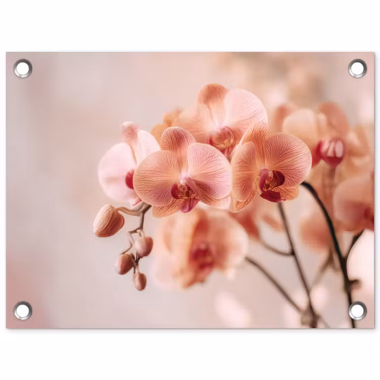 Orchidee - Bloemen - Roze - Bloemblaadjes tuinposter los doek klein -3d