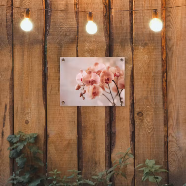 Orchidee - Bloemen - Roze - Bloemblaadjes tuinposter los doek klein -sfeer1