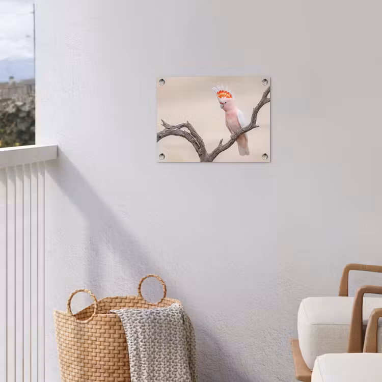 Papagaai - Tak - Roze tuinposter los doek klein -sfeer8
