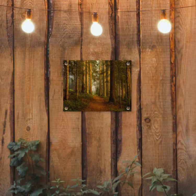 Pad door majestueus dennenbos tuinposter los doek klein -sfeer1