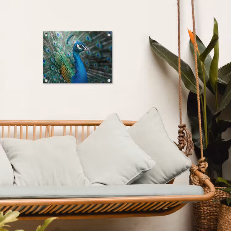 Pauw - Veren - Blauw tuinposter los doek klein -sfeer7
