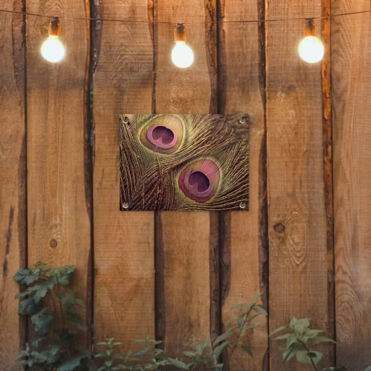 Pauw - Veren - Paars - Groen tuinposter los doek klein -sfeer1