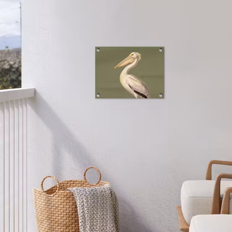 Pelikaan - Wit - Vogel - Klassiek - Natuur tuinposter los doek klein -sfeer8