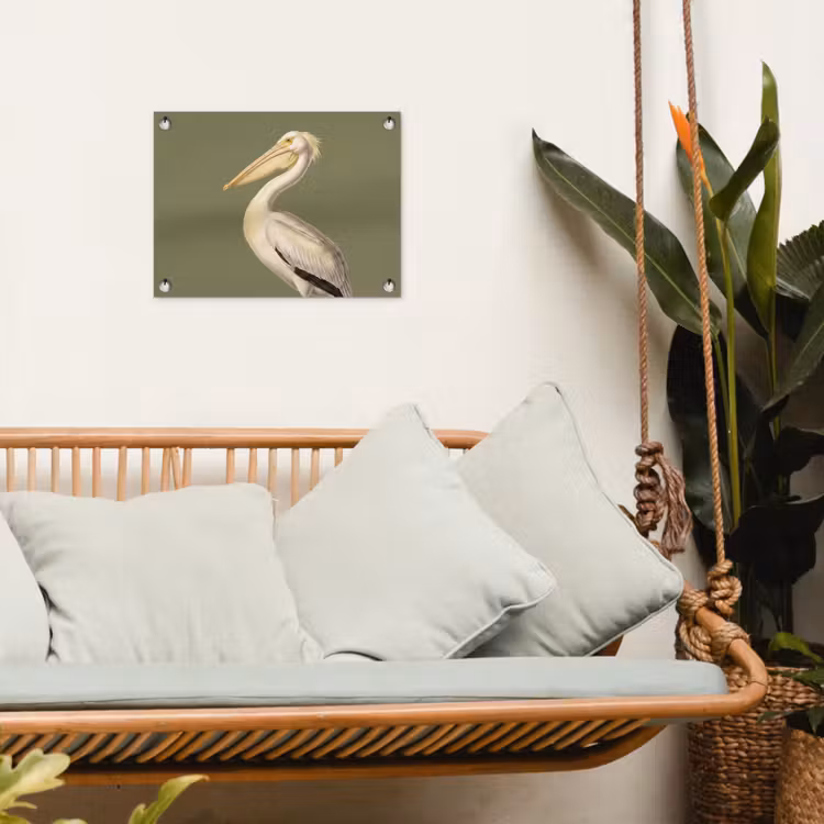 Pelikaan - Wit - Vogel - Klassiek - Natuur tuinposter los doek klein -sfeer7