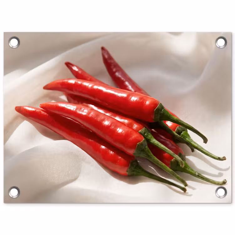 Garden Poster - Pepper - Red - Food - Peper - Rood - Eten tuinposter los doek klein