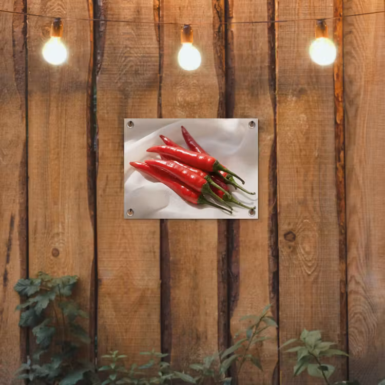 Garden Poster - Pepper - Red - Food - Peper - Rood - Eten tuinposter los doek klein