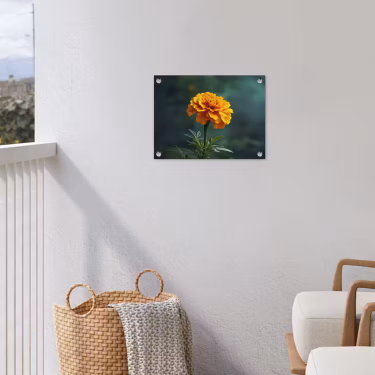 Bloemblaadjes - Afrikaan - Oranje - Wazig tuinposter los doek klein -sfeer8