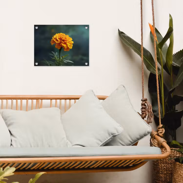 Bloemblaadjes - Afrikaan - Oranje - Wazig tuinposter los doek klein -sfeer7