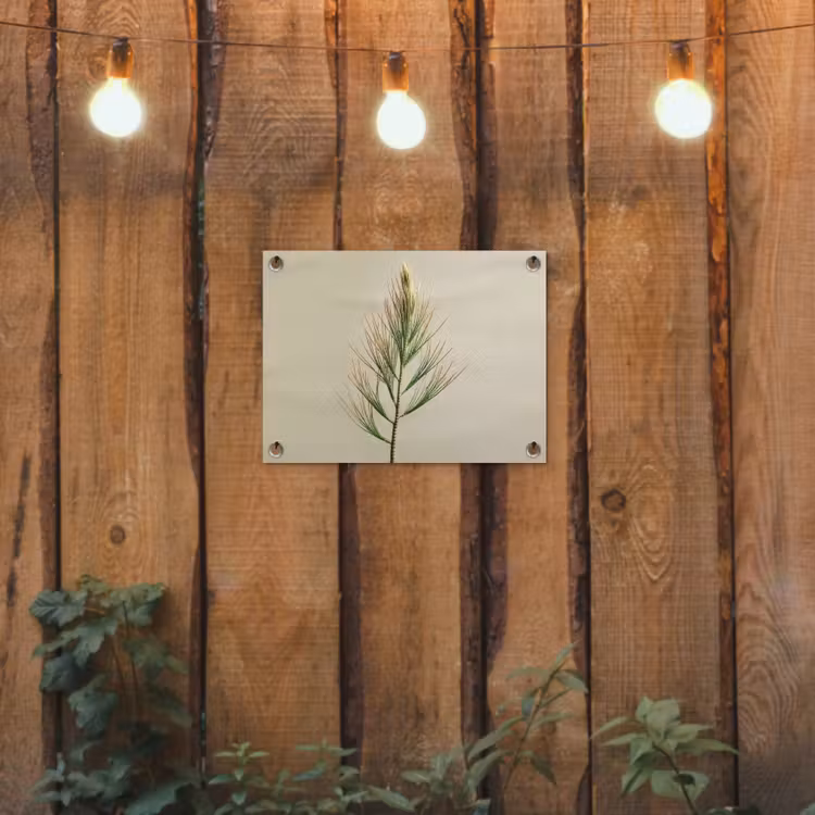 Dennentak - Naaldvormige bladeren - Lichtgroen tuinposter los doek klein -sfeer1