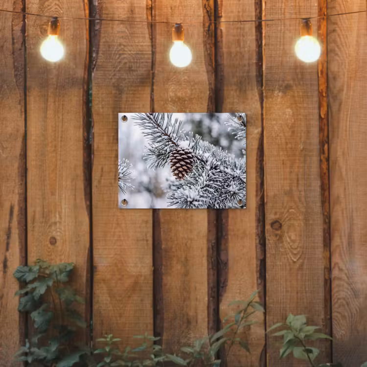 Dennenappel - Tak - Sneeuw - Winter - Sfeervol tuinposter los doek klein -sfeer1