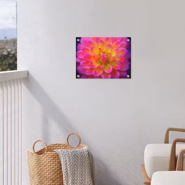 Roze - Dahlia - Kleurrijk tuinposter los doek klein -sfeer8