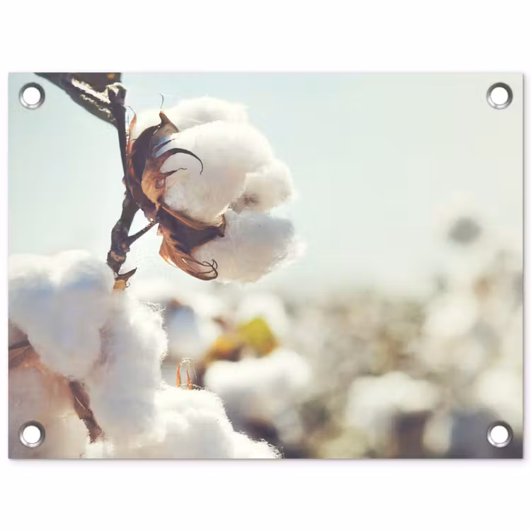 Planten - Bloem - Tak - Natuur tuinposter los doek klein -3d