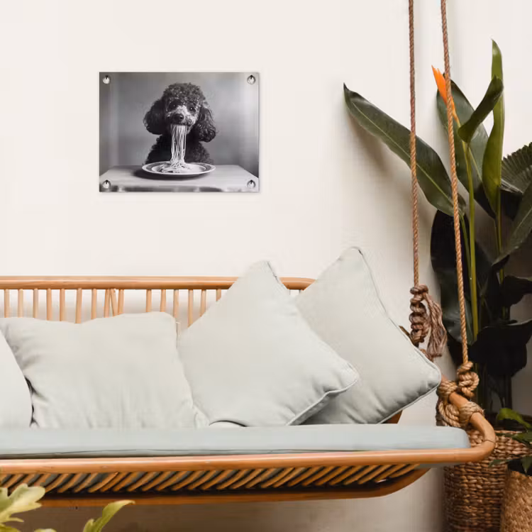 Poedel - Hond - Zwart - Wit - Schattig - Pasta tuinposter los doek klein -sfeer7