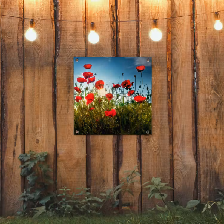 Klaprozen in tegenlicht tuinposter los doek klein -sfeer1