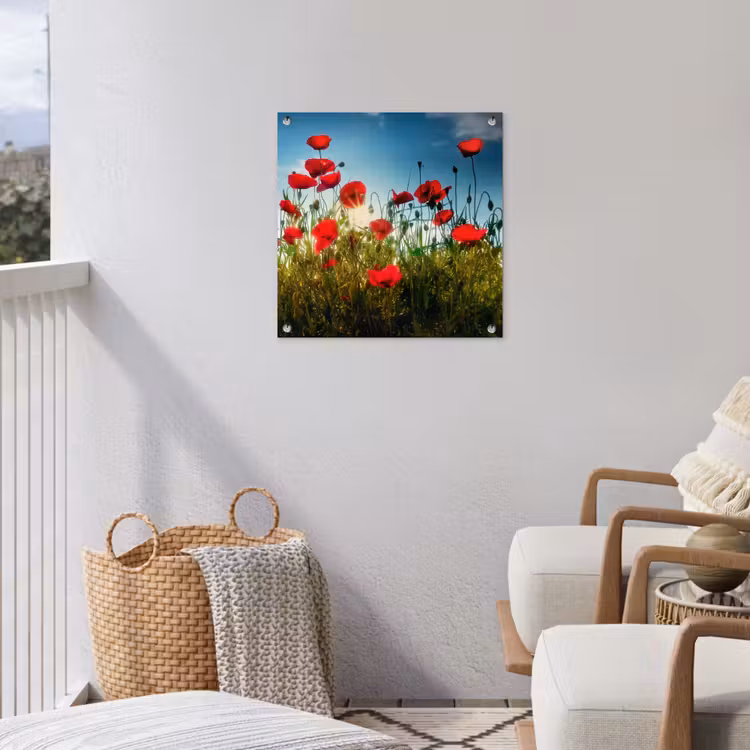 Klaprozen in tegenlicht tuinposter los doek klein -sfeer8